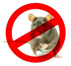 Desratização e mata ratos no Jardim São João